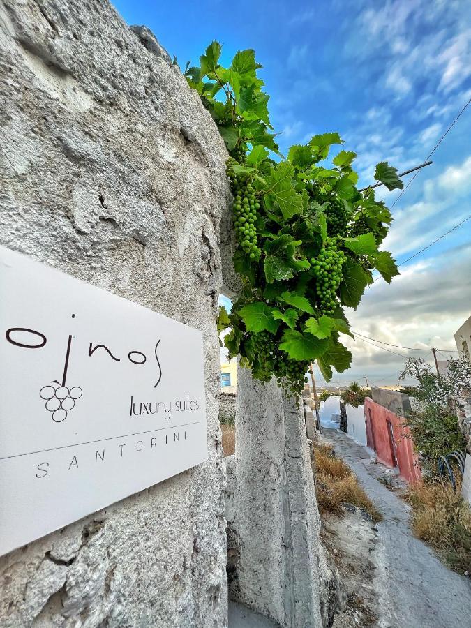 Oinos Luxury Suites Foinikia  Экстерьер фото
